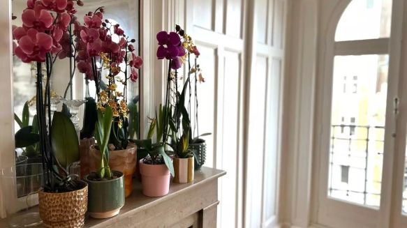 Appartement Lumineux Lille République Beaux-arts